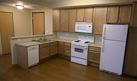 Apartment Kitchen