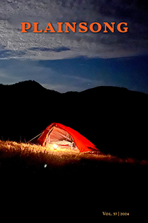 Ten camping at dusk with hills in the background and a light emanating from inside. 