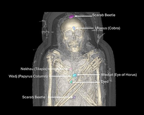 A mummified human body is seen in a scan with various objects highlighted. 